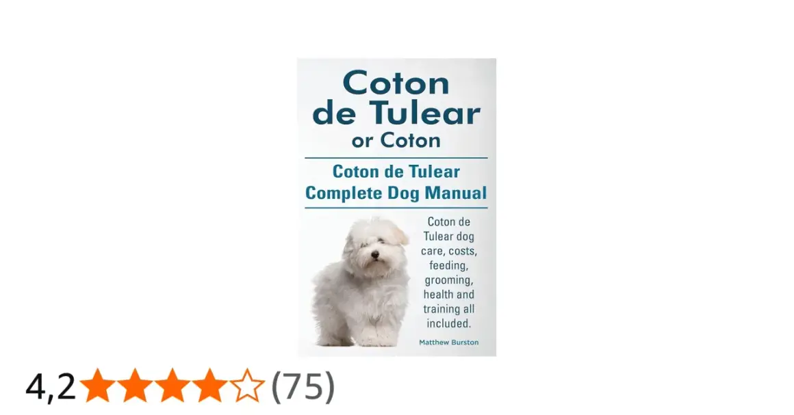 Adorable coton de tulear blanco posa para el manual completo de esta raza.