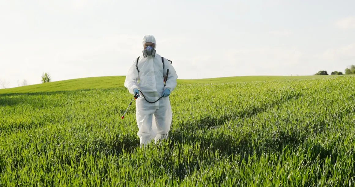 Rolnik w kombinezonie ochronnym i masce przeprowadza fumigację na zielonym polu.
