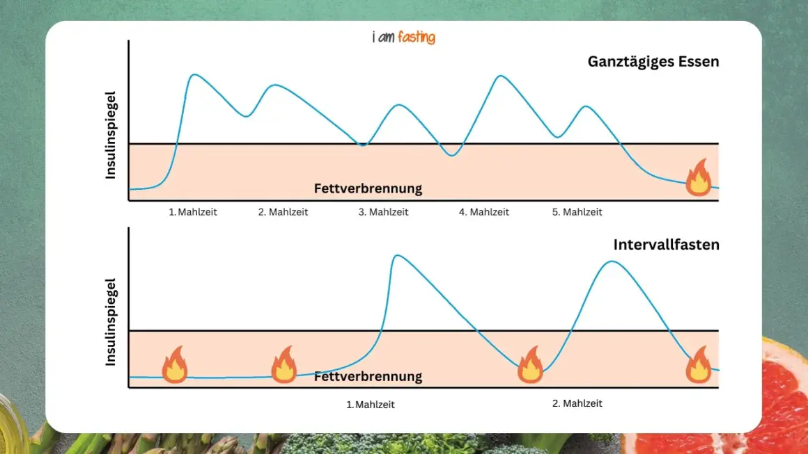 Grafik zeigt Insulinspiegel bei ganztägigem Essen vs. Intervallfasten. Längere Phasen ohne Essen fördern die Fettverbrennung.