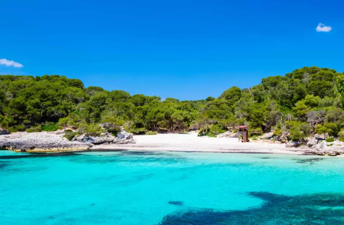 Aguas turquesas y arena blanca en la cala turqueta menorca, rodeada de pinos y rocas. Un paraíso balear.