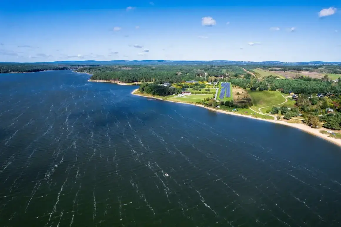 Malownicze jezioro Hańcza z piaszczystą plażą i lasem. W oddali widać farmę fotowoltaiczną, która jest jedną z atrakcji regionu.