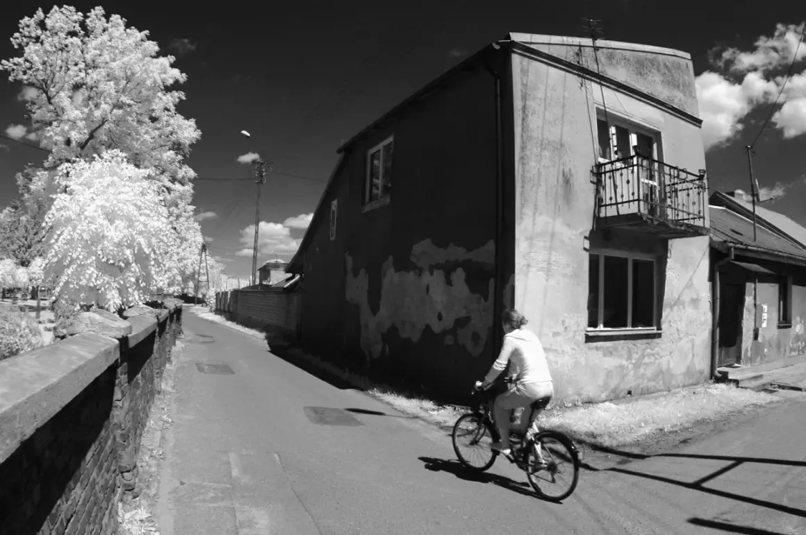 Osoba na rowerze jedzie ulicą. Białe drzewa i budynki kontrastują z ciemnym niebem. Niezwykła fotografia w podczerwieni.