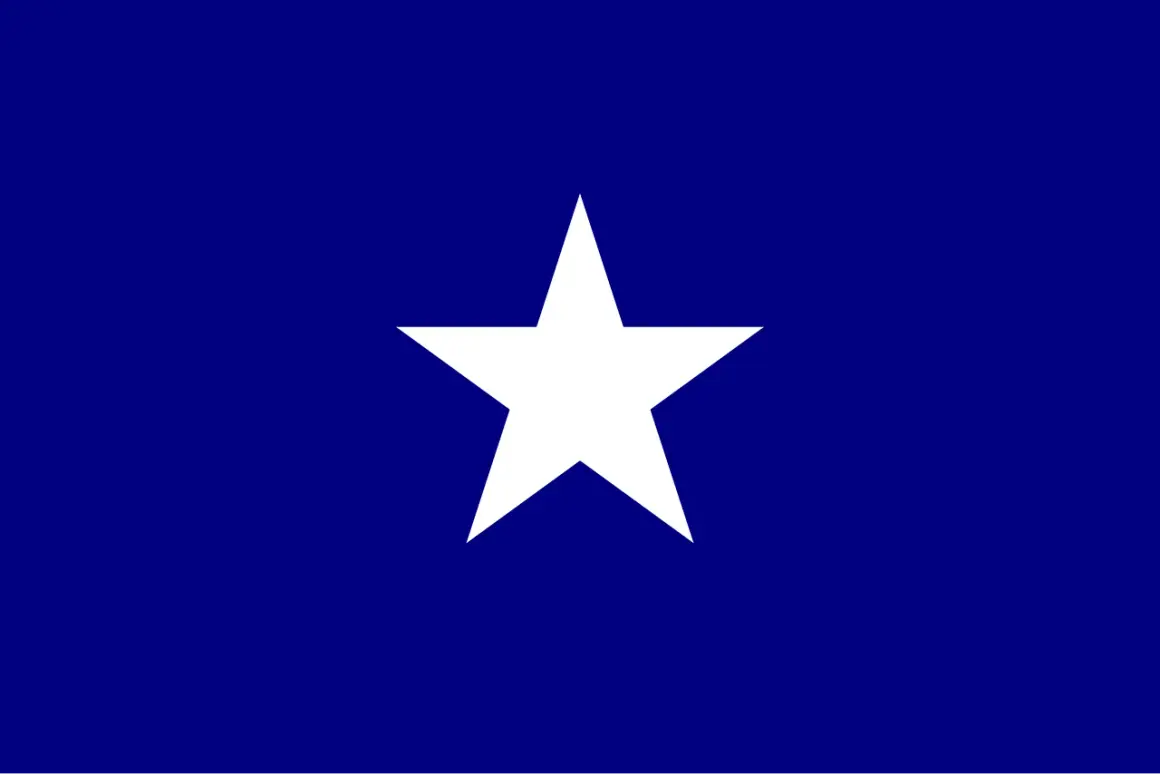 Bonnie Blue Flag, symbol wolności i niezależności, z białą gwiazdą na granatowym tle.