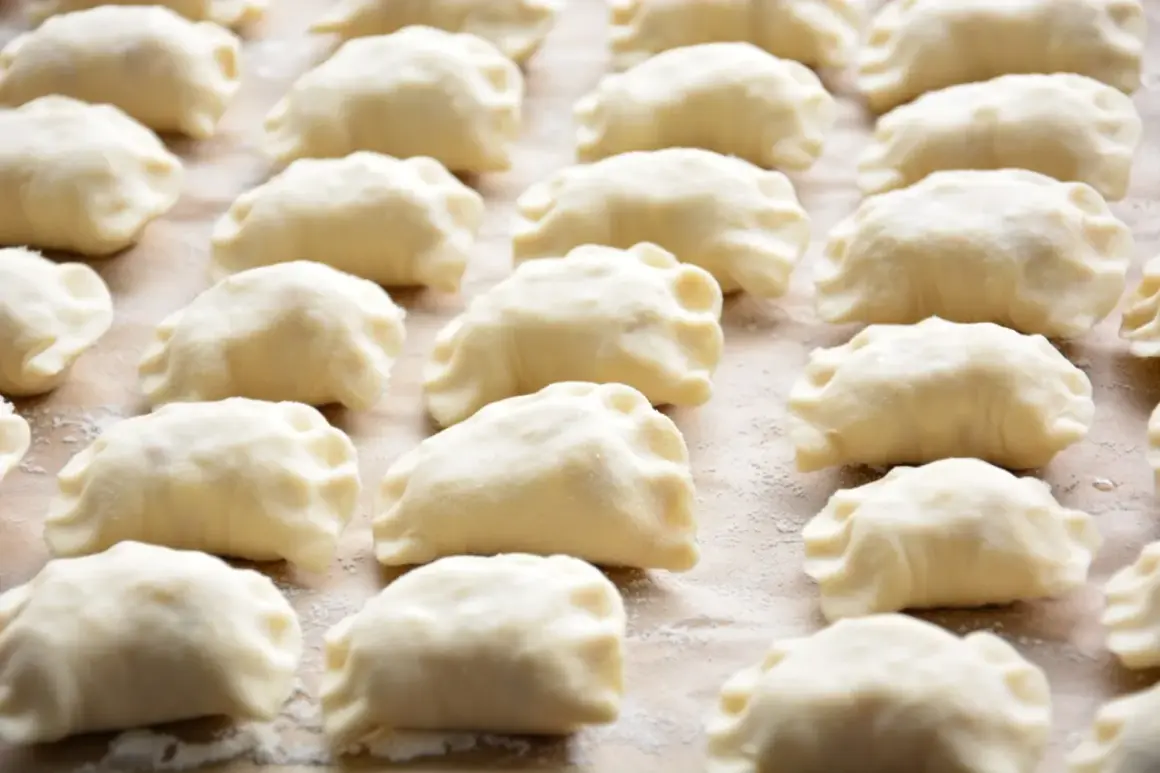 Rządki surowych pierogów z farszem na pierogi ruskie, gotowe do gotowania.