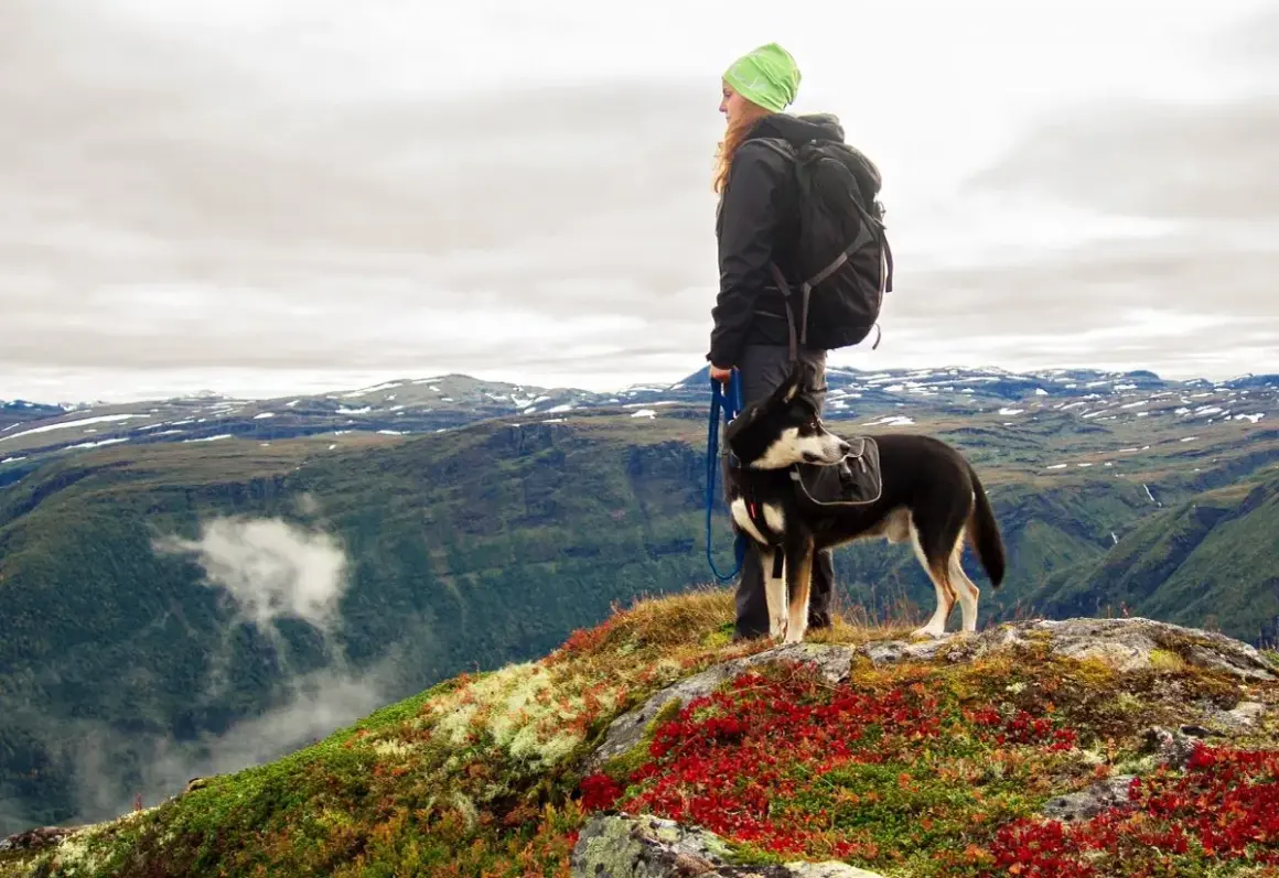 Mujer con mochila y perro con alforjas en un paisaje montañoso, disfrutando de su camino de Santiago con perros.