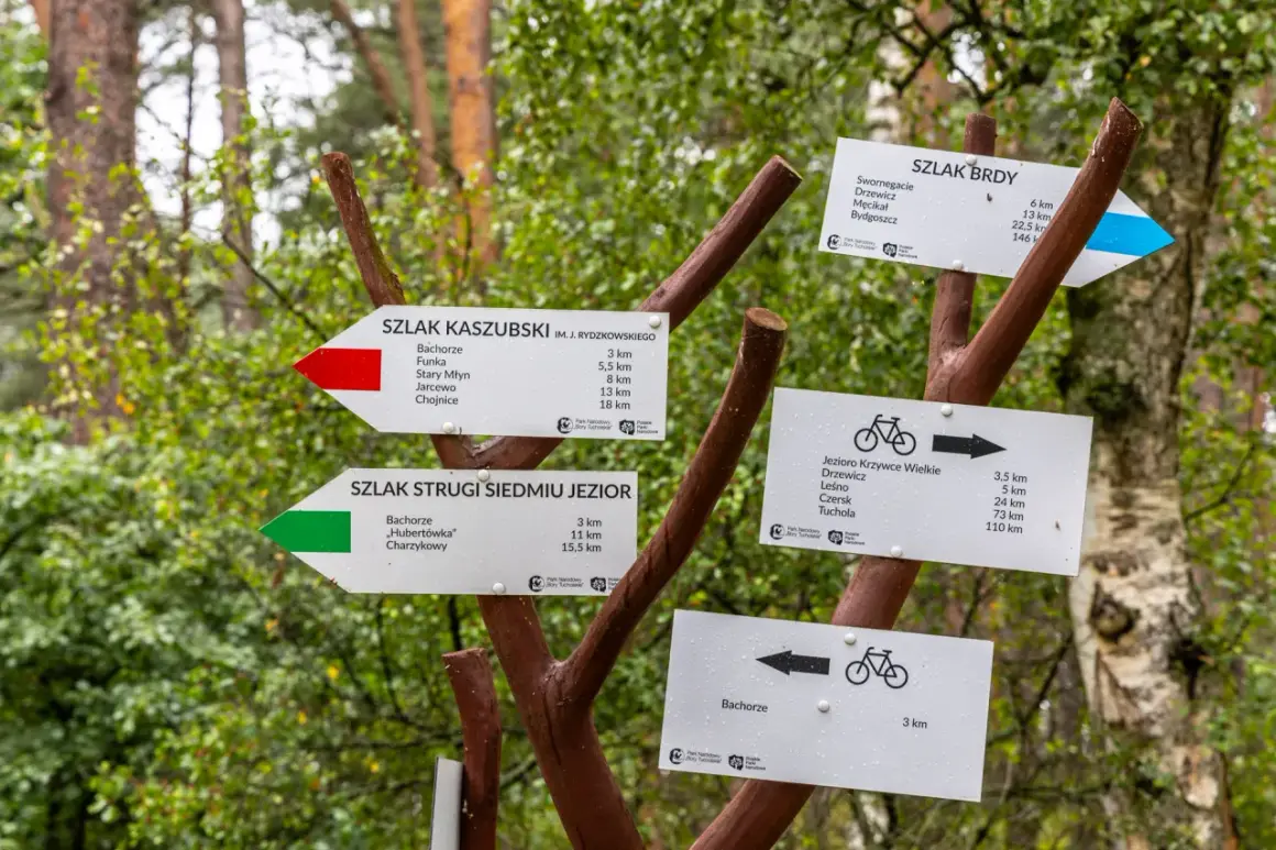 Rozdroże szlaków w Borach Tucholskich. Wskazówki kierują na Szlak Kaszubski, Szlak Brdy i Szlak Stuigi Siedmiu Jezior, zachęcając do odkrywania piękna regionu.