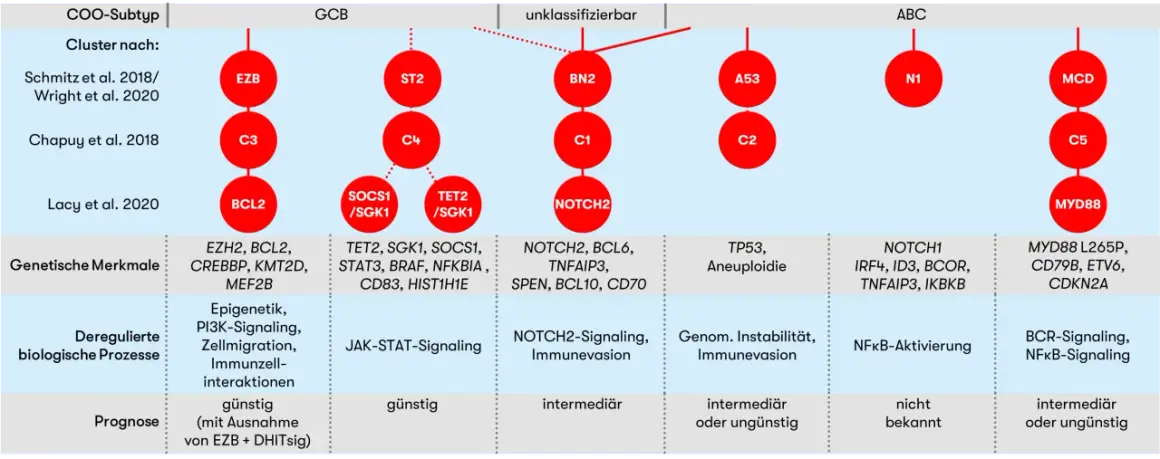 Schema zeigt Subtypen von B-Lymphozyten mit genetischen Merkmalen und Prognosen.