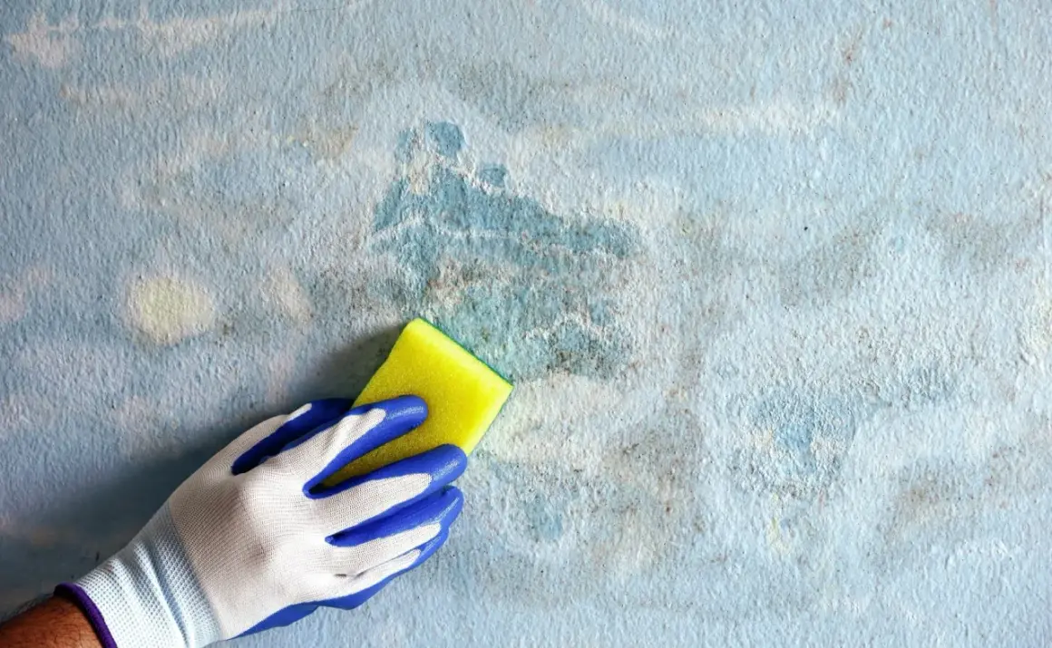 Mano con guanto blu e bianco pulisce una parete con pittura tamponato grigio e macchie di umidità.