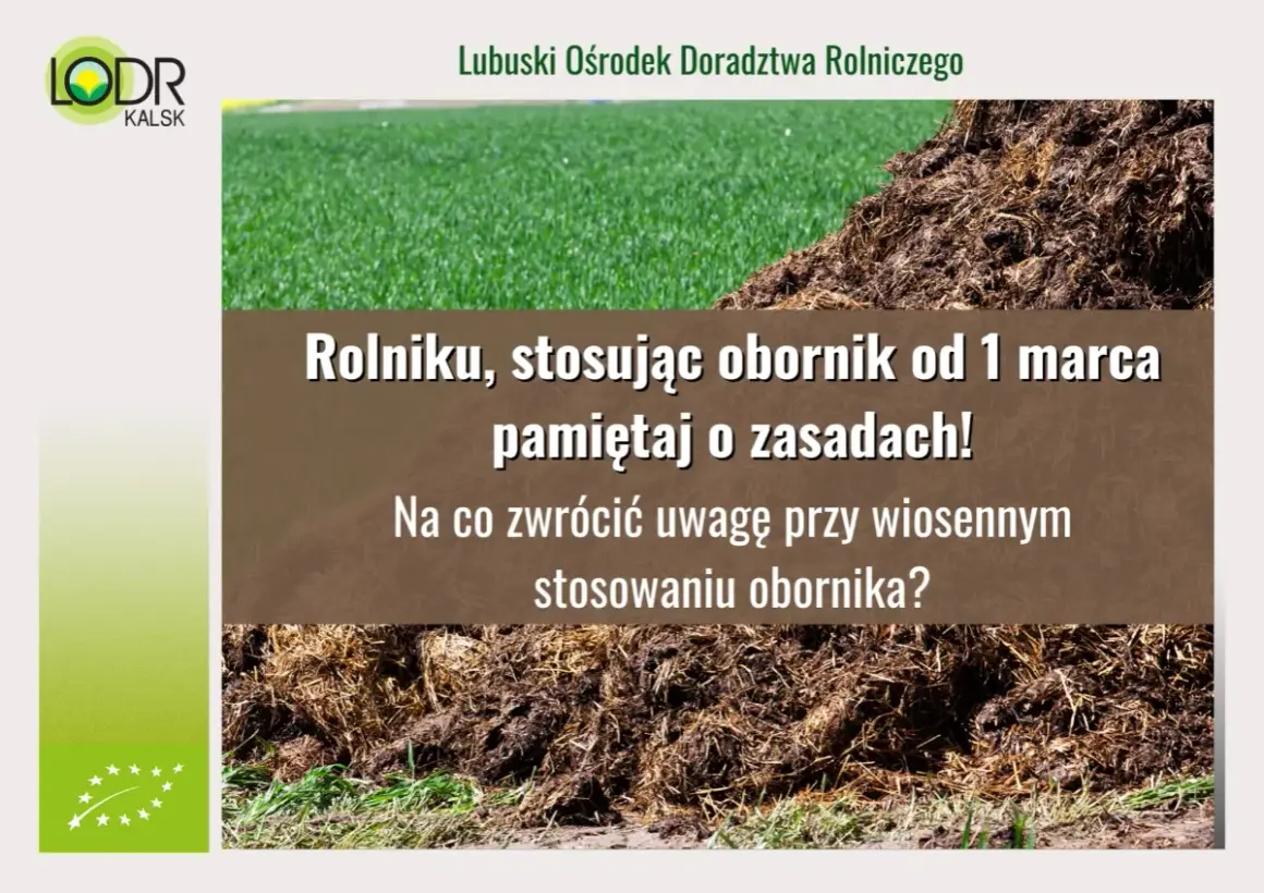 Kupa obornika na tle zielonej trawy i tekstu o jego stosowaniu.