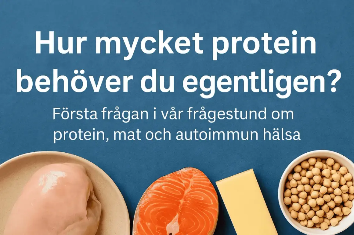 Fakta om protein: kyckling, lax, ost och kikärtor. Hur mycket protein behöver du?