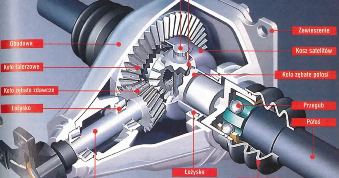 Przekrój mechanizmu różnicowego: koło talerzowe, zębate, satelity i półosie. Kluczowy element napędu.
