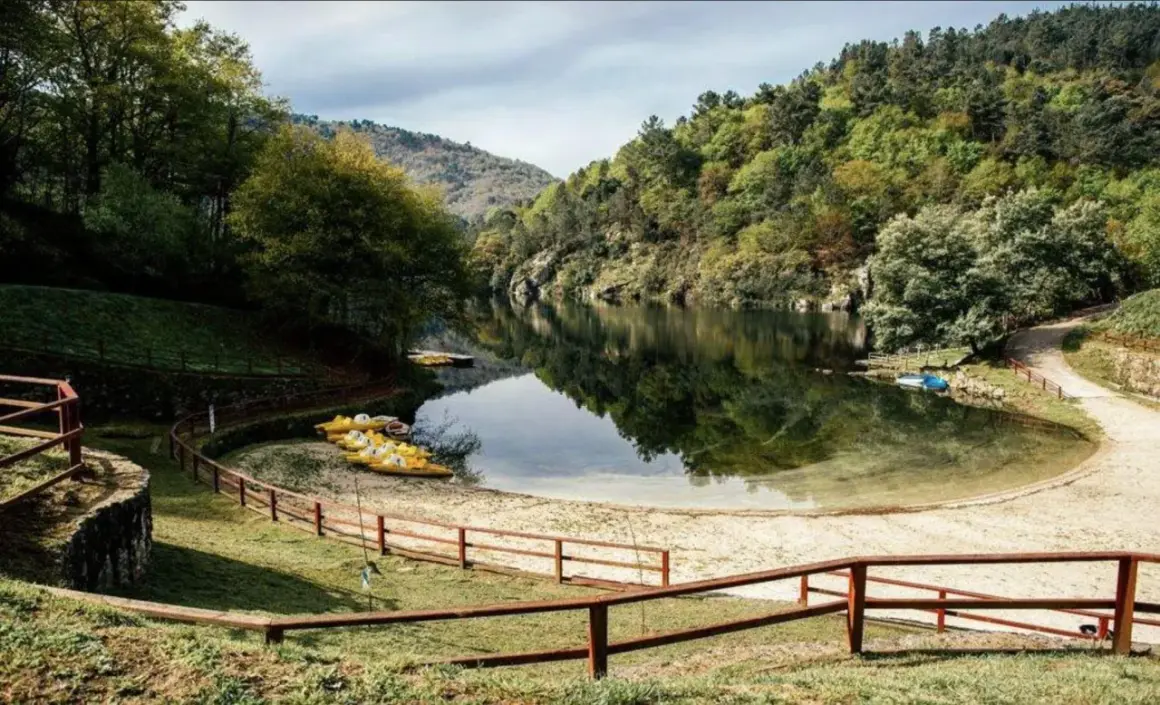 Un área de berres con botes amarillos esperando en la orilla arenosa, rodeada de exuberante vegetación y un lago tranquilo.