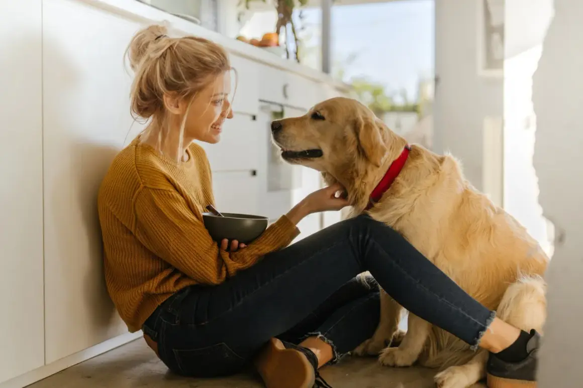 Une jeune femme assise au sol, tenant un bol, caresse son golden retriever. Une scène tendre qui rappelle l'importance de savoir comment faire garder son chien.