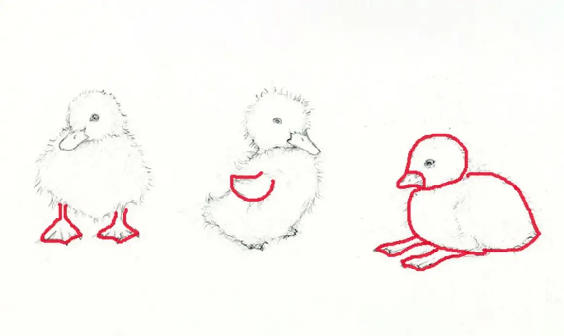 Tres tiernos dibujos de patos, uno de pie, otro sentado y uno más recostado, con contornos rojos resaltando sus formas.