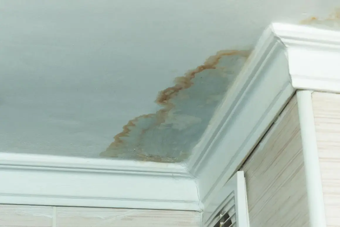Taches brunes sur le plafond de la salle de bain, signe de moisissure malgré la VMC. Problème d'humidité persistant.
