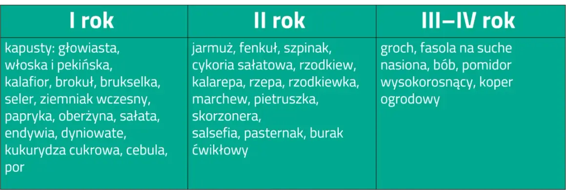 Kiedy kompost pod warzywa? Kluczowe terminy i skuteczne metody zastosowania
