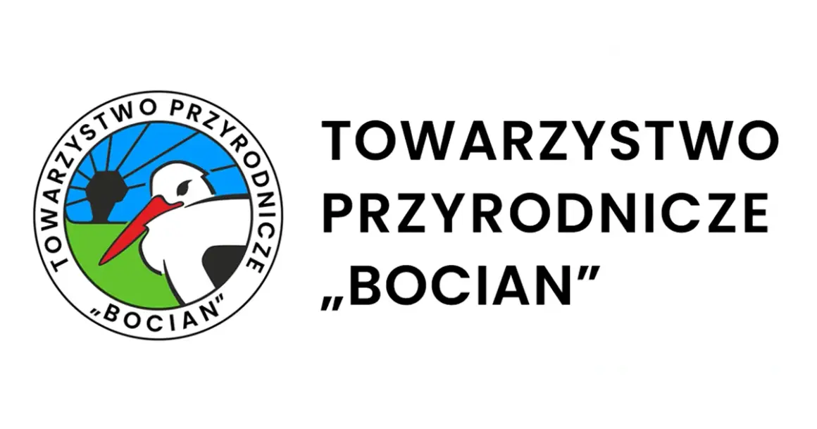 Ile waży dorosły bocian? Zaskakujące fakty o jego wadze