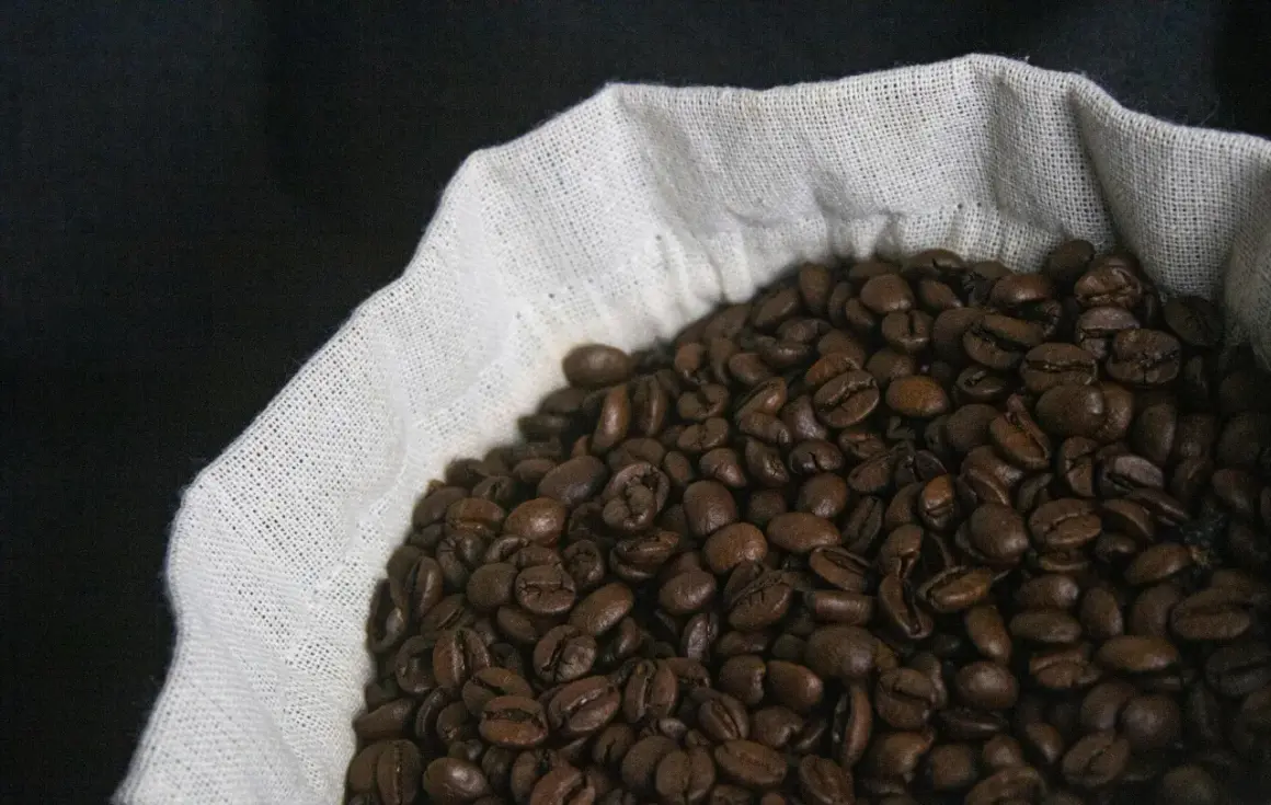 Kawa ziarnista Arabica - jak rozpoznać dobrą jakość?