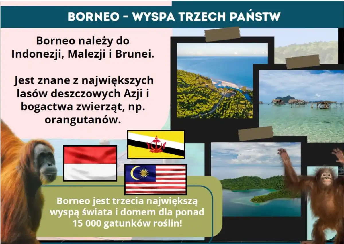 Największe wyspy świata - ranking i praktyczny przewodnik