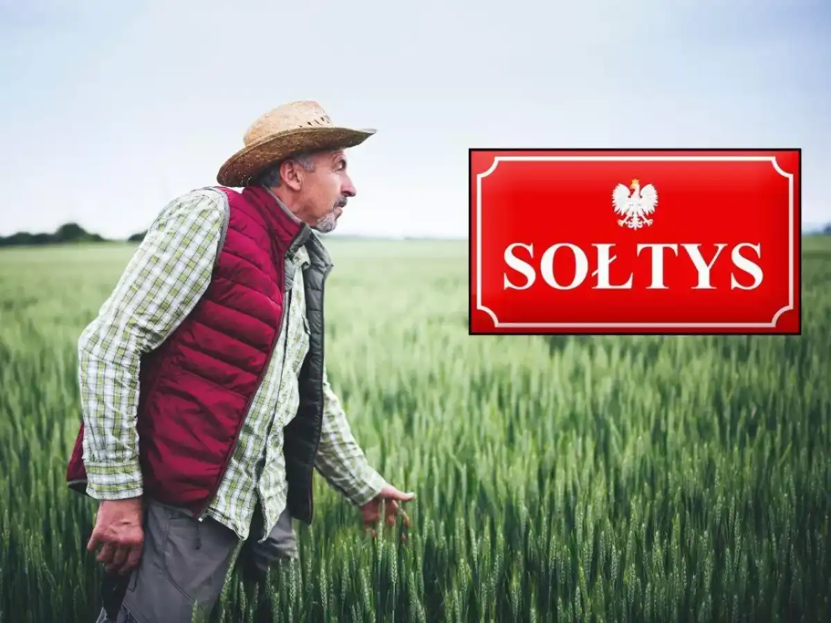Sołtys - Jakie ma obowiązki, jak wyglądają wybory i realne zarobki?