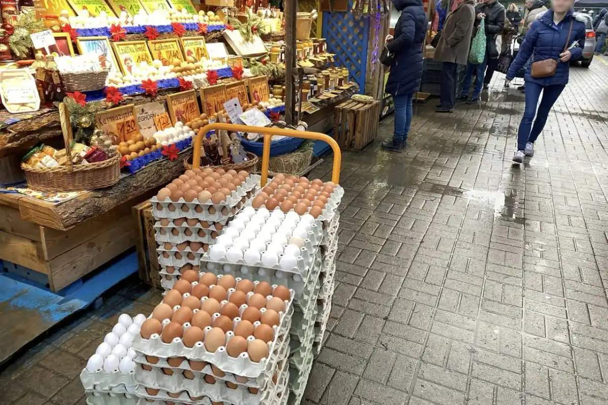 Cena jajek - Jak rozszyfrować rynek i nie przepłacać?