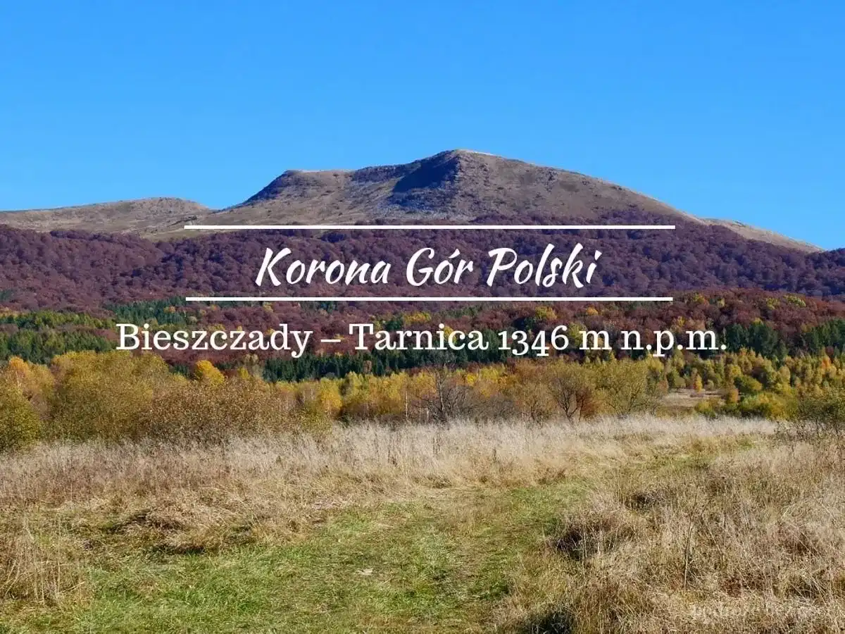 Tarnica 1346 m n.p.m. - Jak wejść na szczyt bez zaskoczeń?