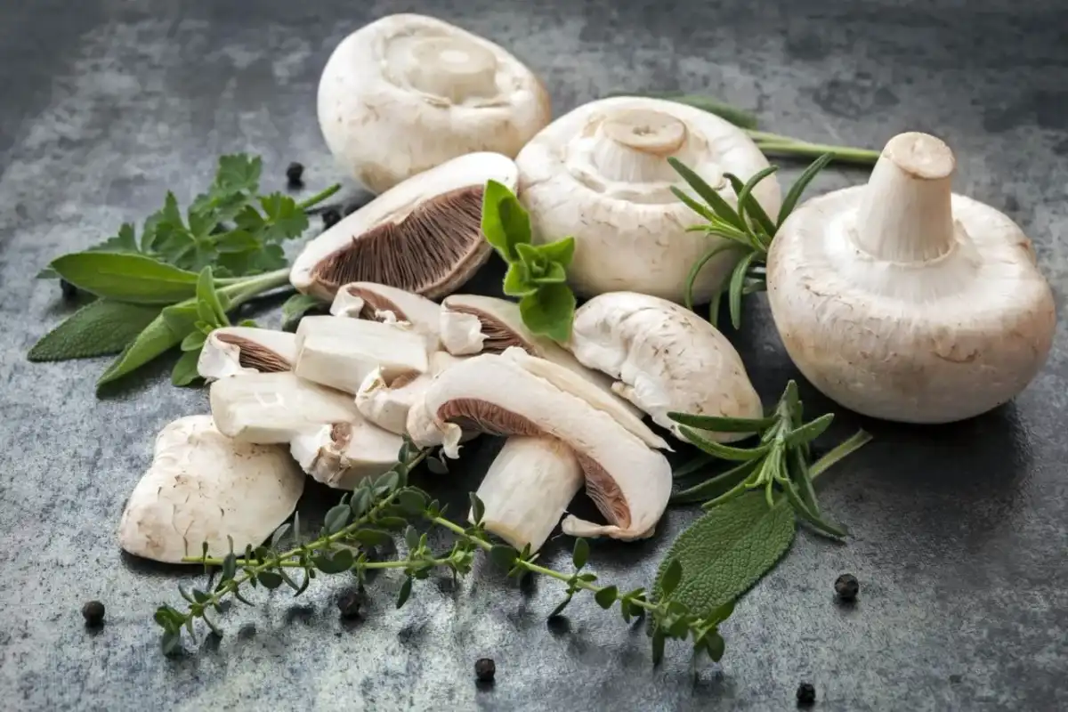 Pieczarki - ile mają kalorii i jak wpływają na trawienie?