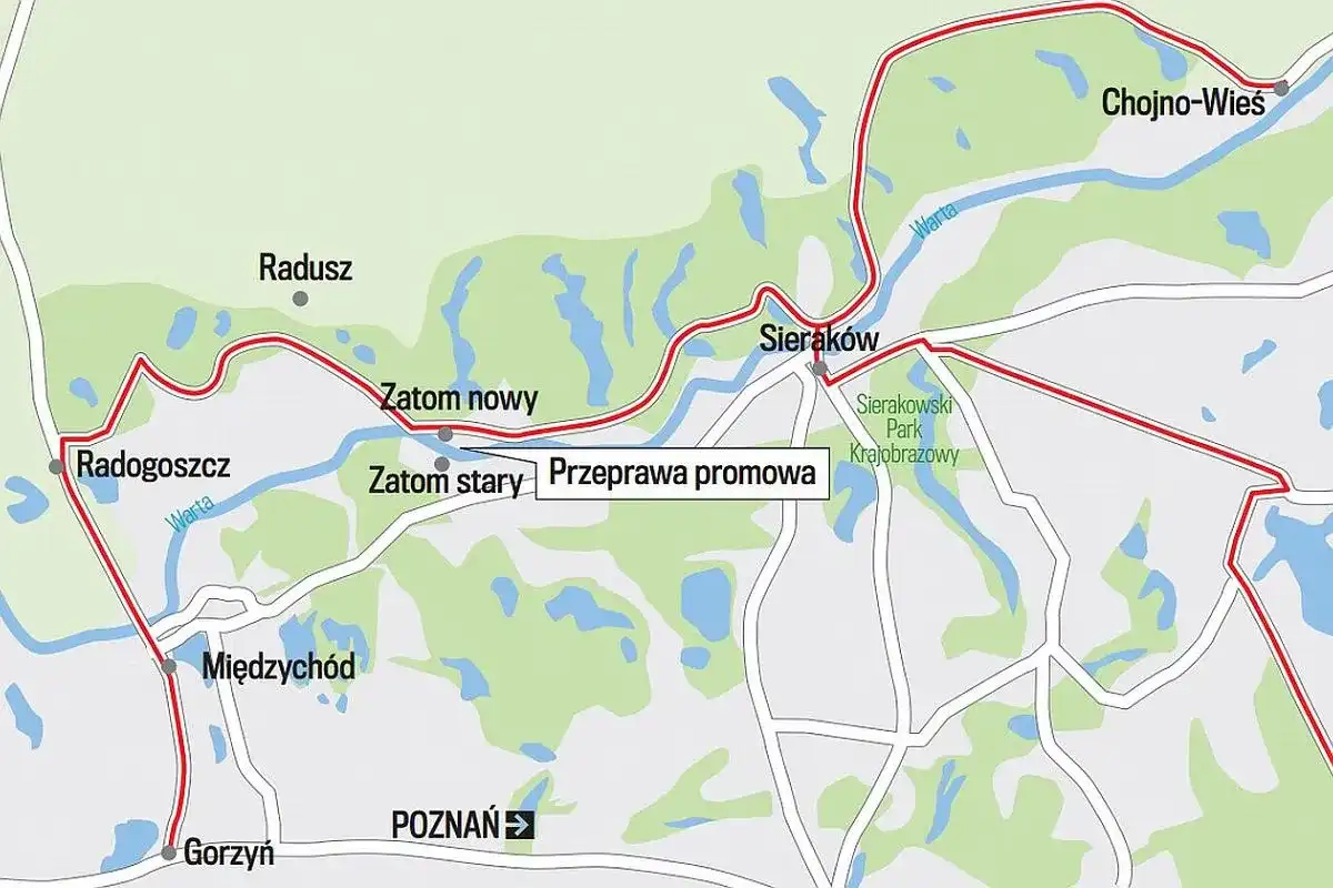 Puszcza Notecka - Co warto zobaczyć i jak zaplanować wyjazd?