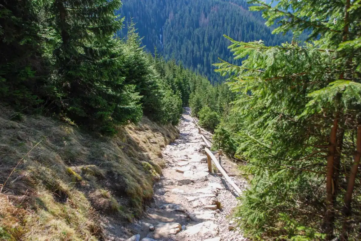 Dolina Jaworzynki - Spokojny start w Tatry? Sprawdź!
