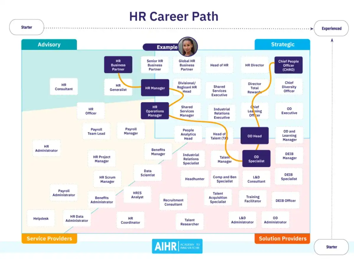 Partner HR - zarobki, wymagania i ścieżka kariery