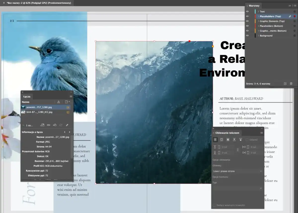 Adobe design w praktyce - jak dobrać Illustrator, Photoshop i InDesign