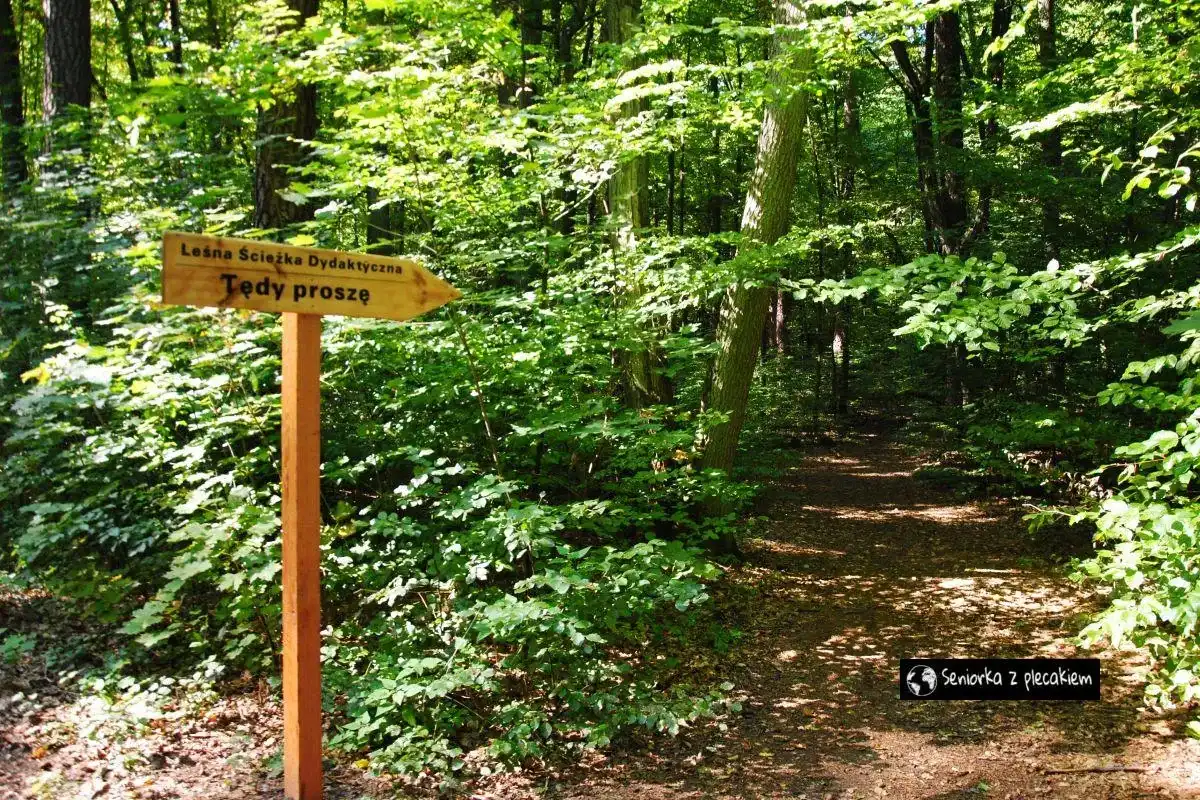 Stare Jabłonki - Mazury bez pośpiechu? Sprawdź, co warto zobaczyć!