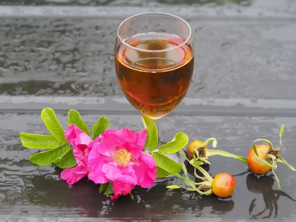 Wino z dzikiej róży: przepis, zdrowie i sekret długiego leżakowania