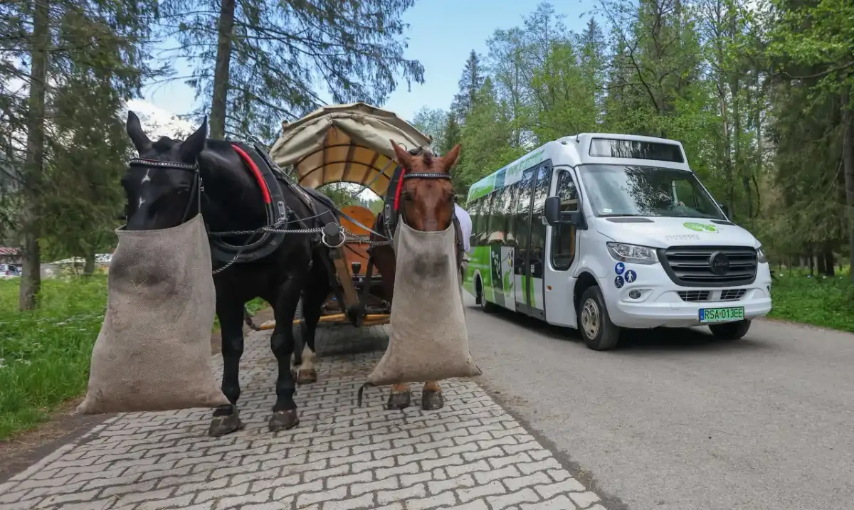 Busy na Morskie Oko - gdzie kończą kurs i ile to kosztuje?