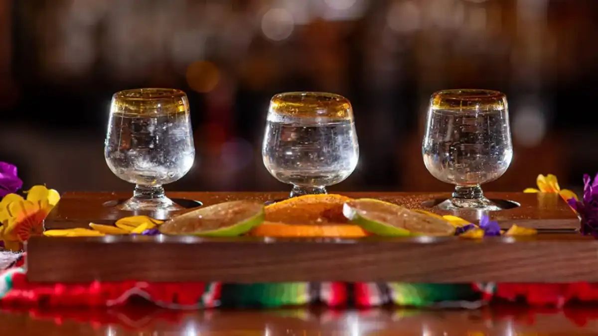 Mezcal - przewodnik: dymny czy nie? Jak wybrać i pić?