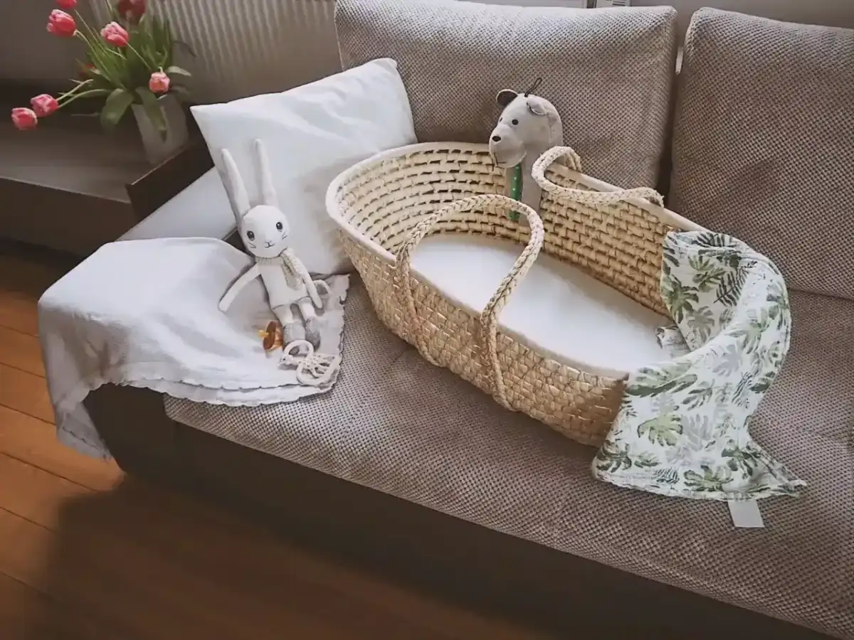 Kosz Mojżesza w wyprawce - jak wybrać dobry model?