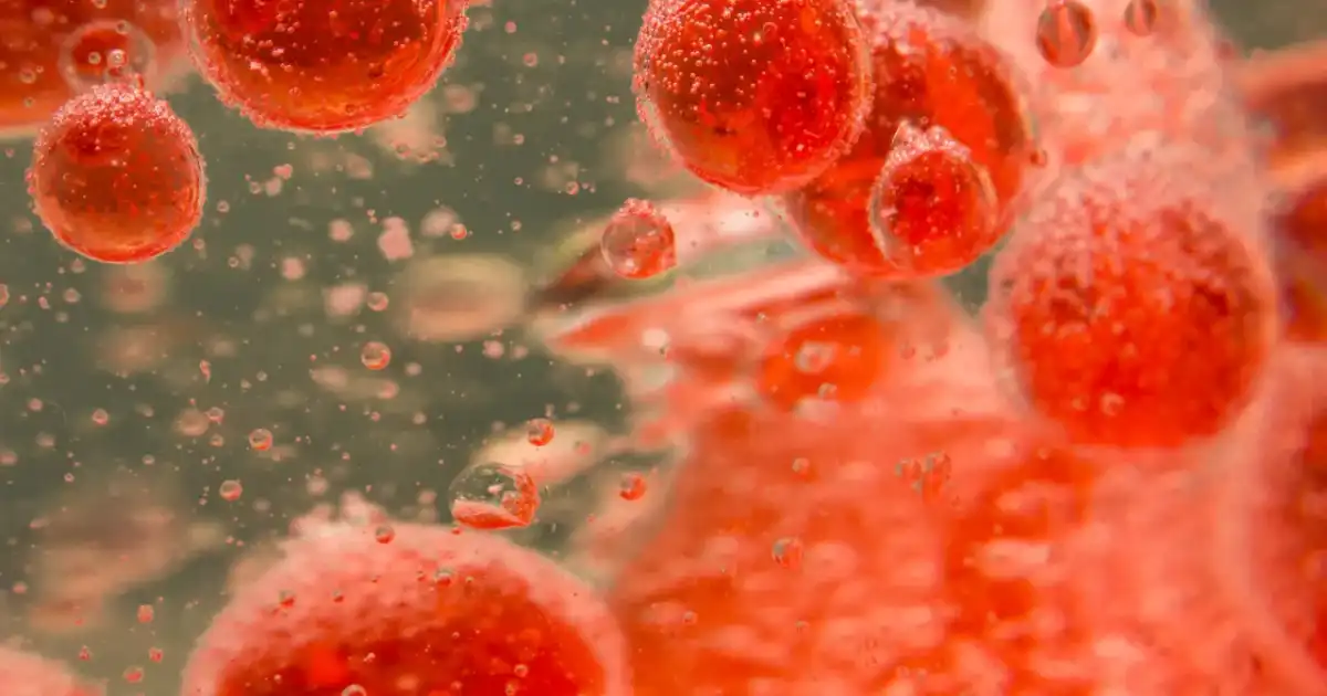 Podwyższone erytrocyty - Co oznaczają i kiedy reagować?