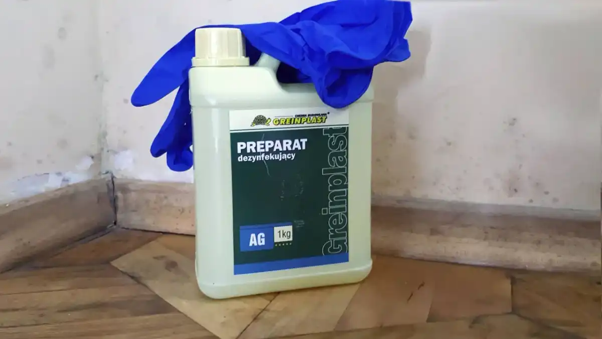 Pleśń na ścianie - Jaki preparat wybrać i jak usunąć?