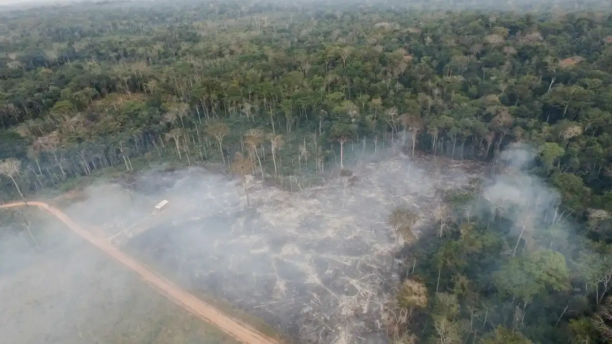 Amazonia - dlaczego to nie tylko las deszczowy?