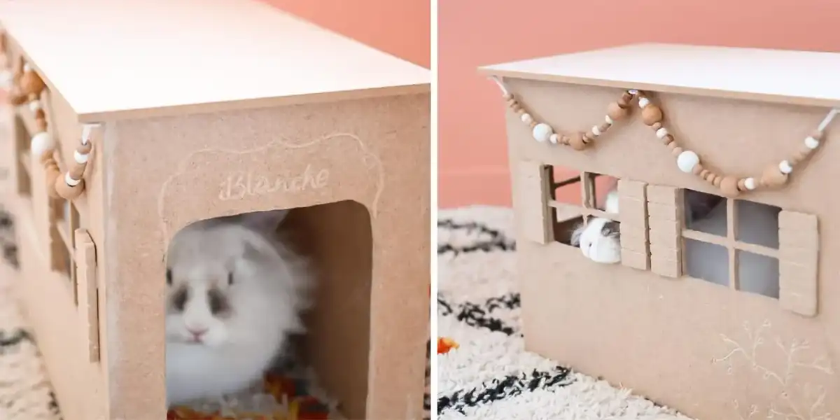 Jak zrobić bezpieczny domek dla królika z kartonu? Poradnik DIY