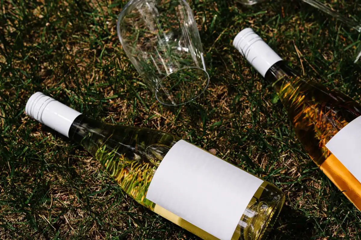 Wino organiczne, biodynamiczne, naturalne: Kluczowe różnice