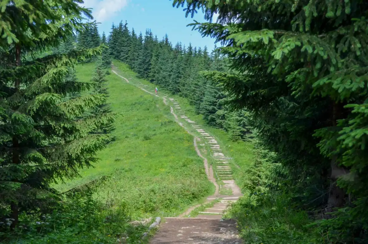 Gęsia Szyja - Szlak, czas przejścia i panorama. Jak wejść na szczyt?
