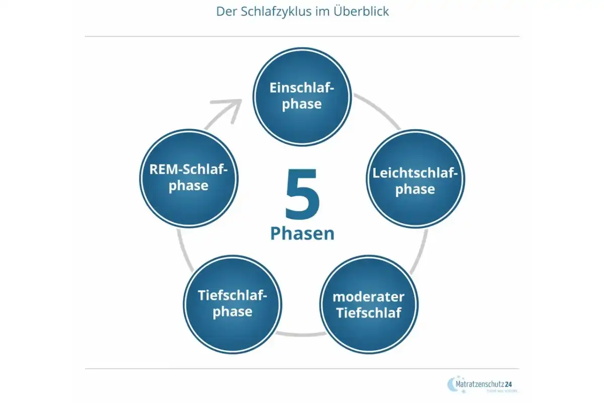 REM-Schlaf verstehen - warum er Psyche und Gedächtnis prägt