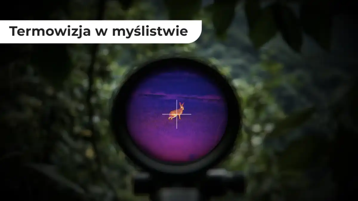Jak widzi myśliwy? Sztuka obserwacji i nowoczesne technologie