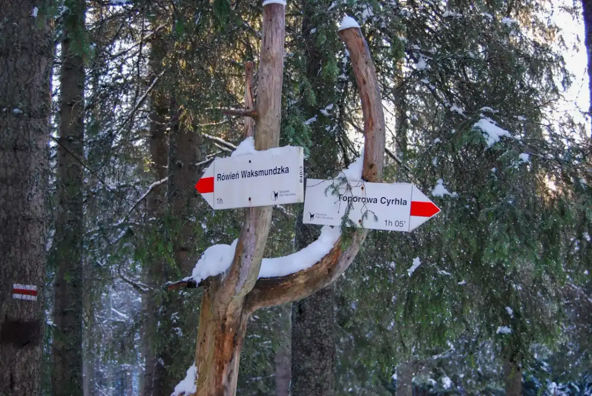 Sucha Woda w Tatrach - przewodnik po szlaku do Murowańca