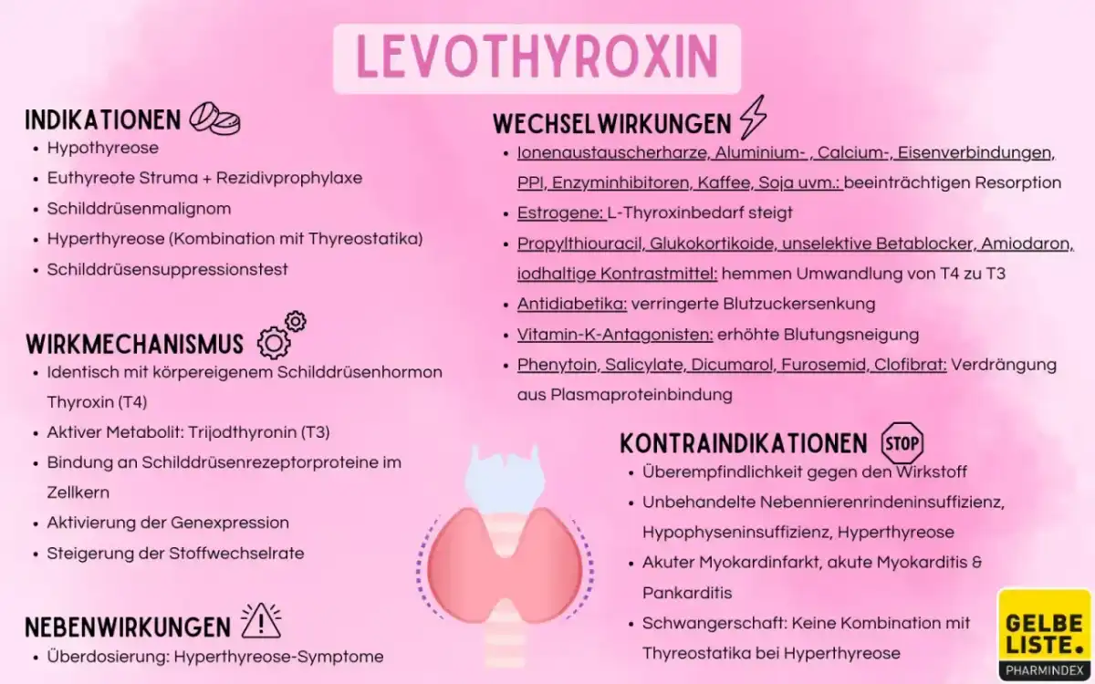 Thyronajod - Einnahme, Wirkung und wichtige Wechselwirkungen