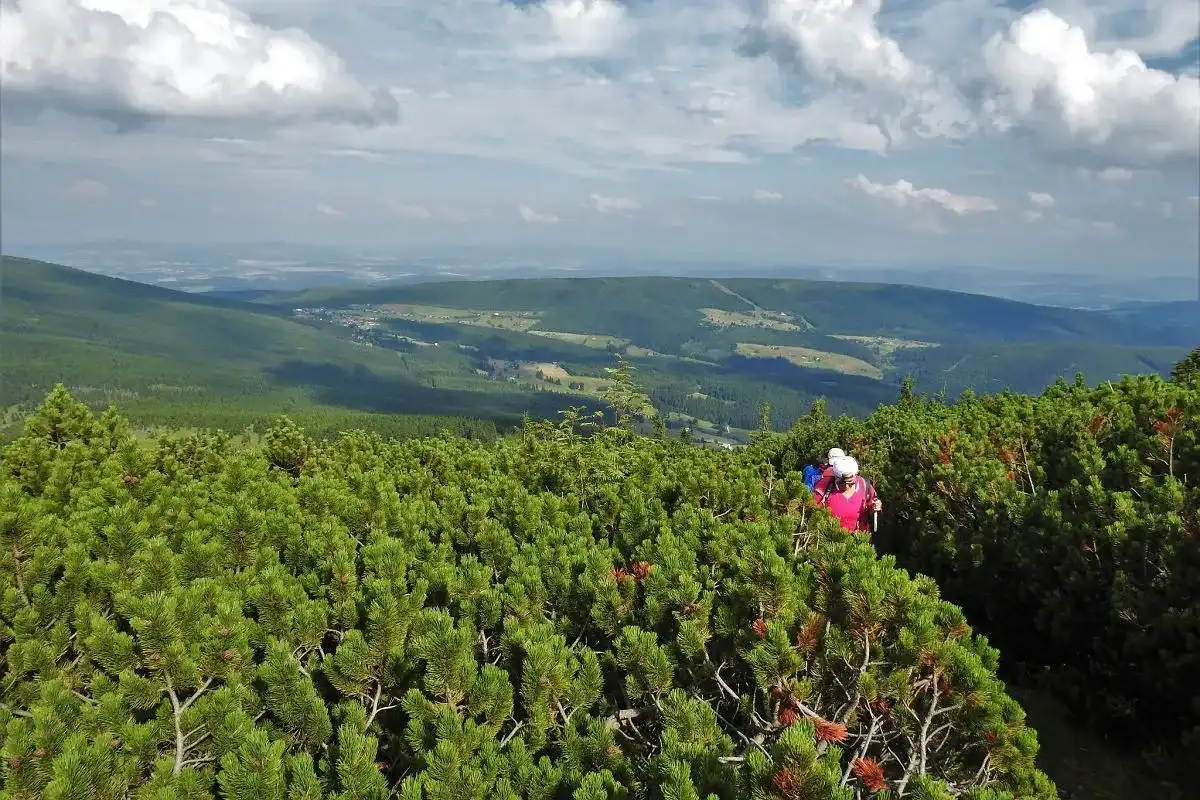 Jagniątków - Karkonosze. Co zobaczyć i jak zaplanować wycieczkę?