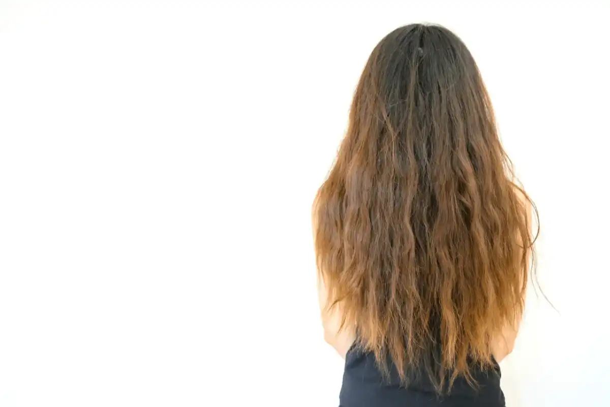 ¿Pelo seco y áspero? Hidrata de verdad sin complicarte