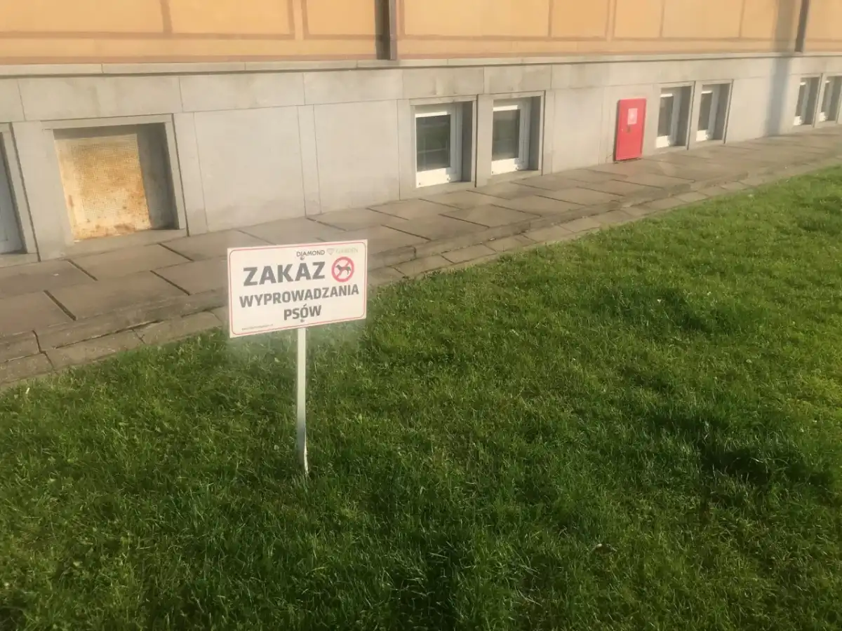 Zakaz wyprowadzania psów we wspólnocie - co naprawdę wolno?