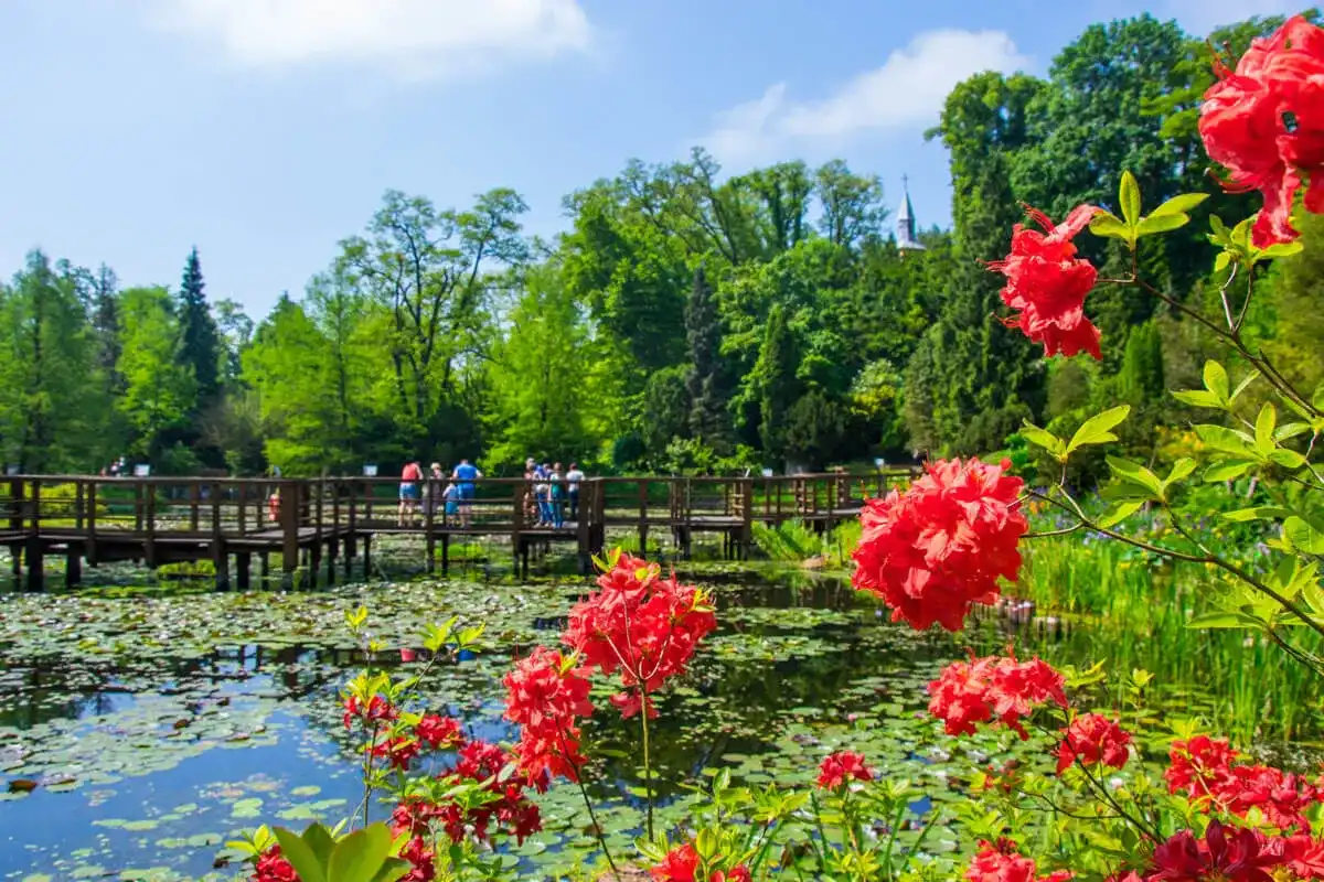 Bolestraszyce - Arboretum i fort - jak zaplanować idealną wizytę